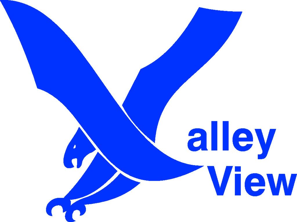 Valley View Public School logo