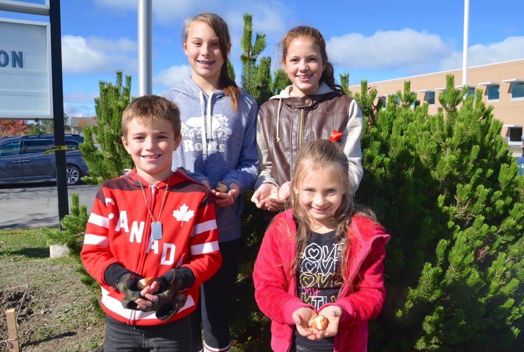 Students from Valley View Public School holding tulip bulbs