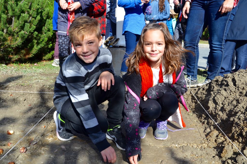 Two students planting tulip bulbs.