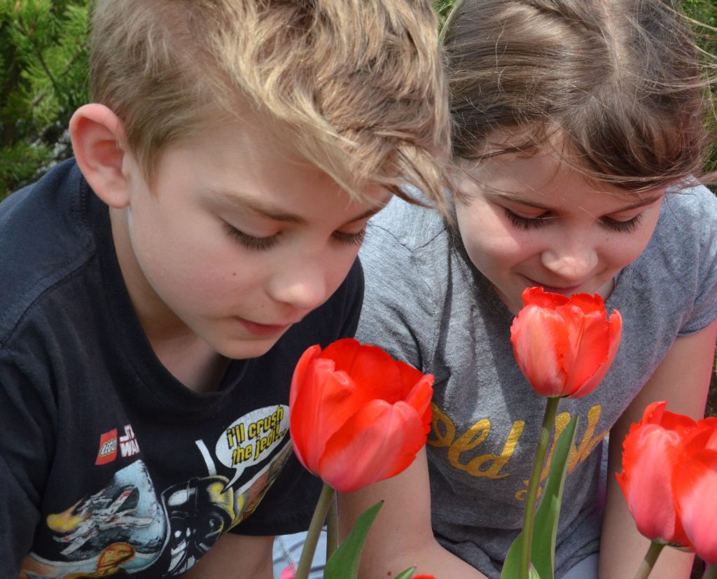 An image of two students sniffing tulips