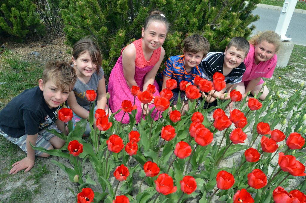 An image of students in front of a tulip garden