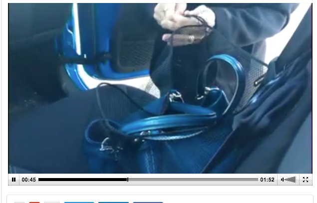 A screen caption from a cargo belt video