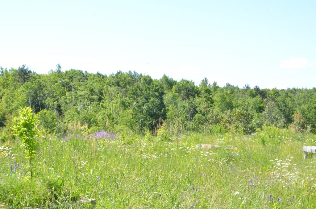 Image from Hubert's Habitat opening