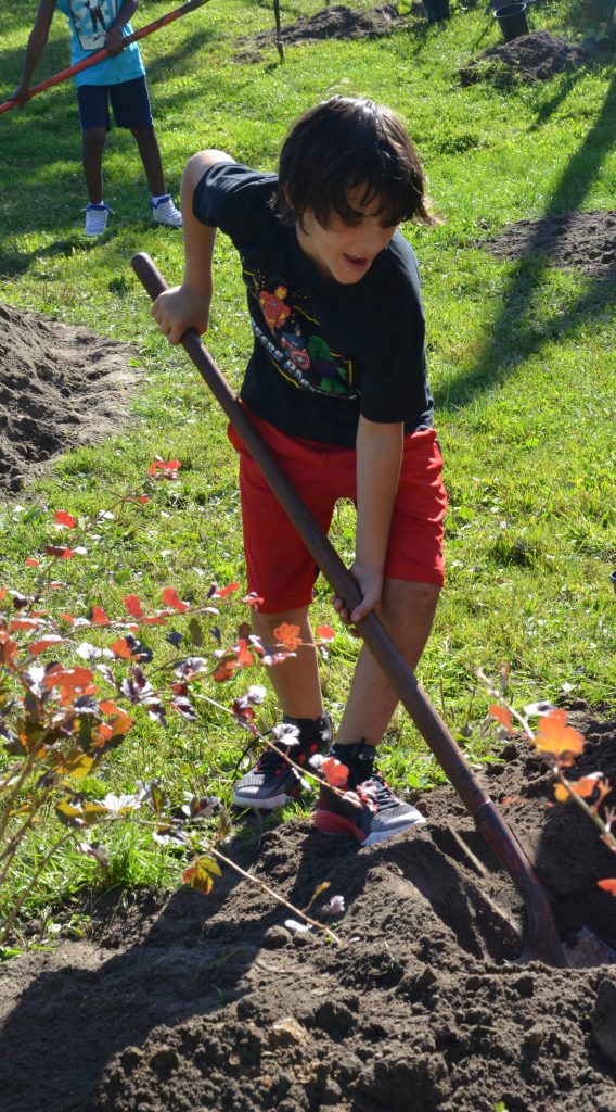 An image of a student planting