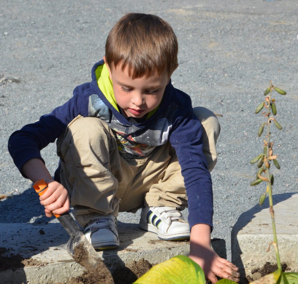 An image of a student planting