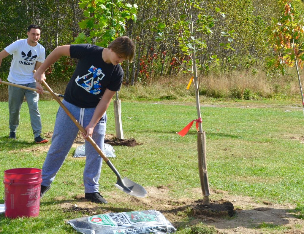 An image of two students planting trees