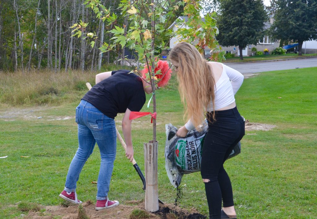 An image of two students planting trees