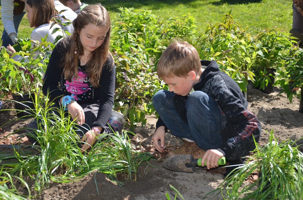 An image of two students planting