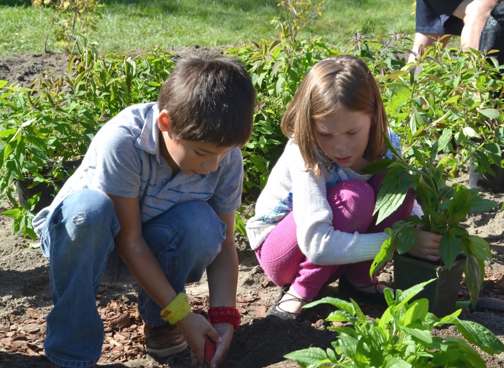 An image of two students planting