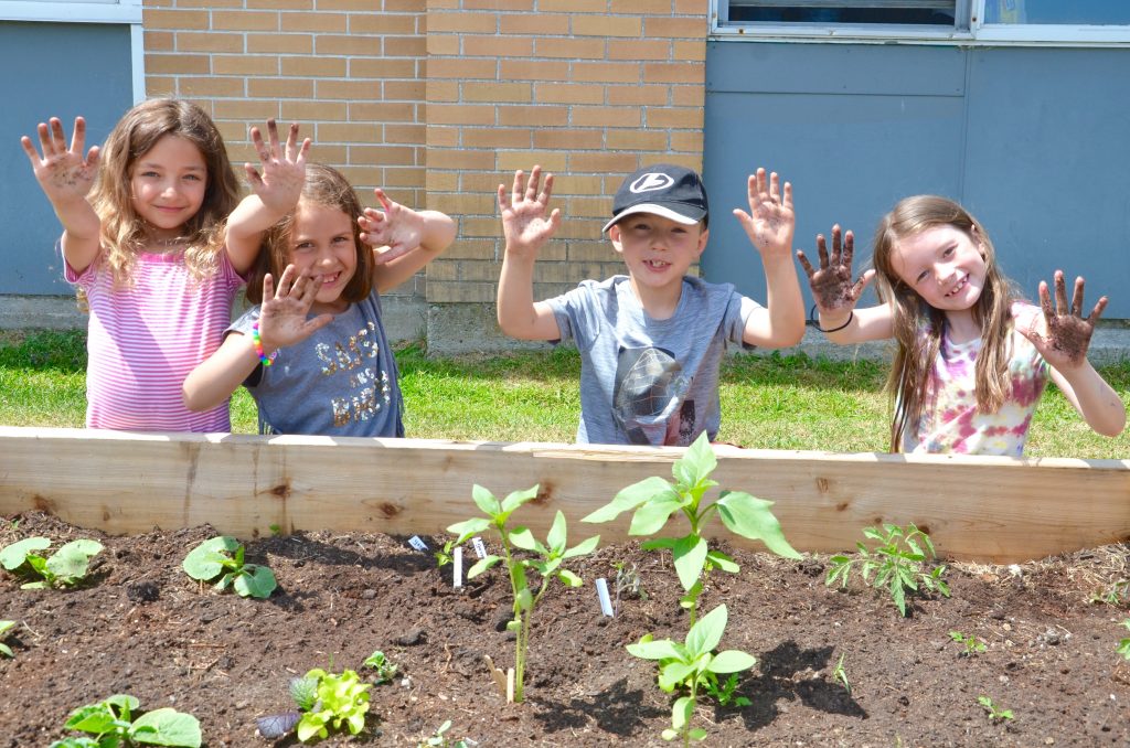 students working in the garden at RH Murray PS