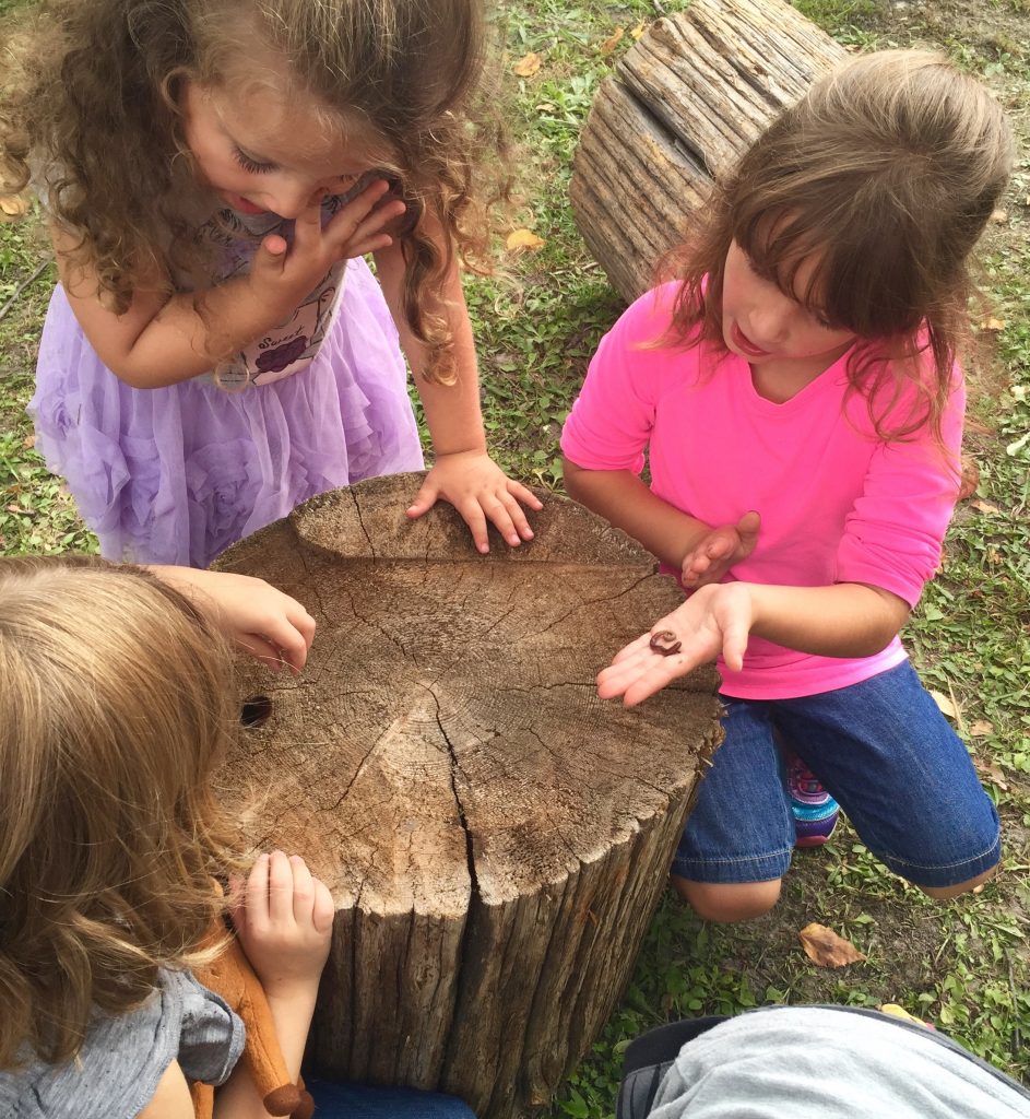Students exploring outdoors