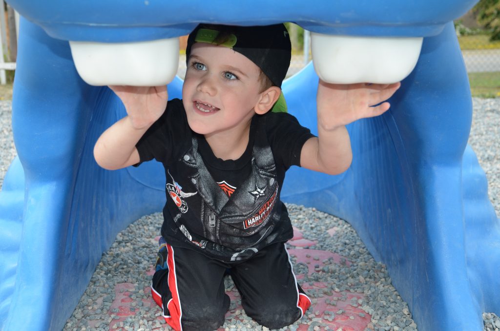 Axel Burton explores in the great outdoors during the Kindergarten Camp at Algonquin Road Public School.