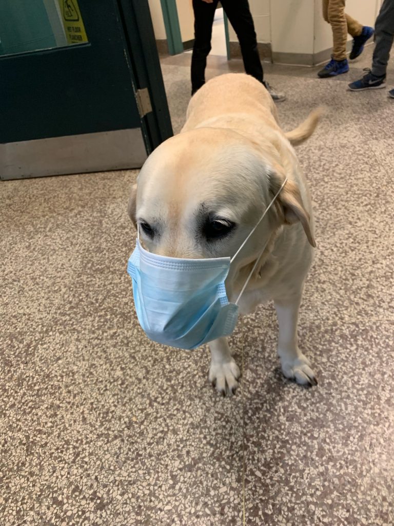 Wear a Mask Day